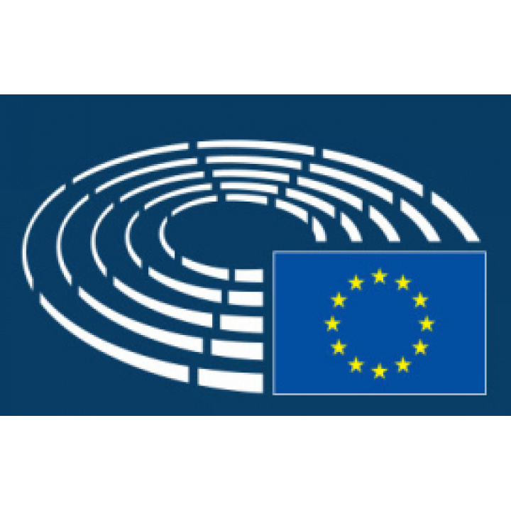 11.02.2019 Voľby do Európskeho parlamentu