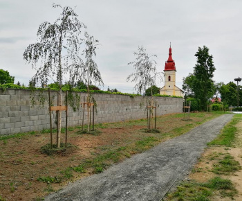 Projekt KSK : Hažín - revitalizácia obce - Komunitná prírodná zá